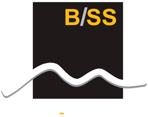 logo BSS