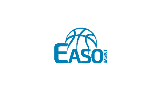 Easo Basket